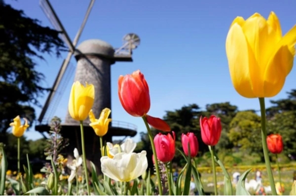 March Newsletter