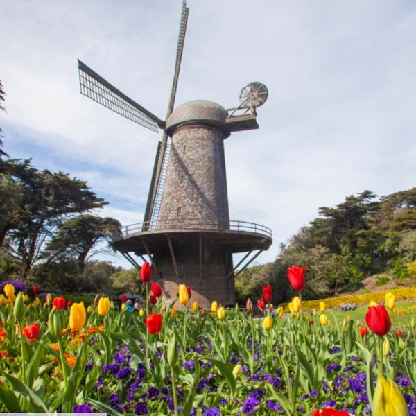 March Newsletter