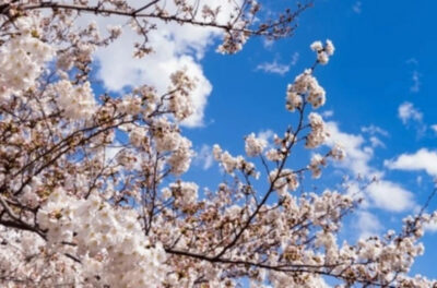 April 2025 Newsletter